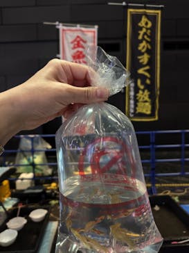 アクアリウム東京に投稿された画像（2025/10/18）