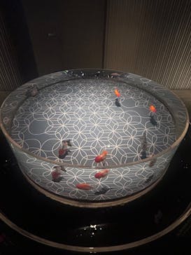 すみだ水族館に投稿された画像（2025/10/18）