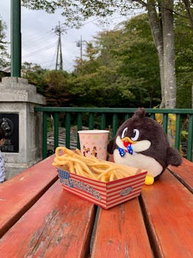 那須ハイランドパークに投稿された画像（2025/10/18）