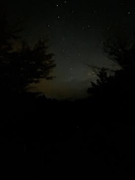 大井川鐵道株式会社に投稿された画像（2025/10/18）