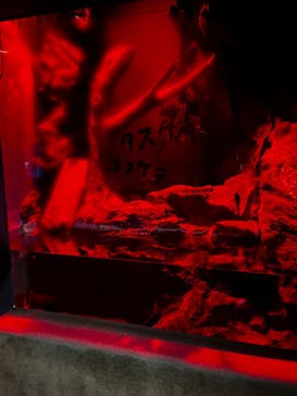 サンシャイン水族館に投稿された画像（2025/10/18）