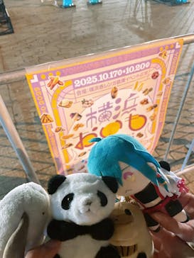 横浜おいも万博に投稿された画像（2025/10/18）