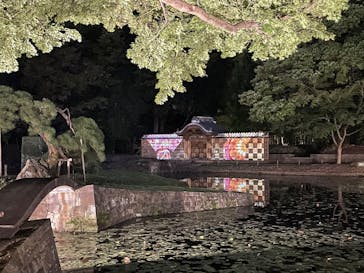 夜間特別開園 秋の夜長の小石川後楽園2025に投稿された画像（2025/10/18）