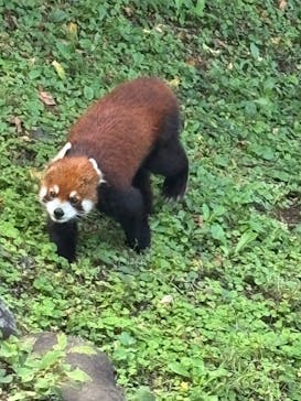 多摩動物公園に投稿された画像（2025/10/18）