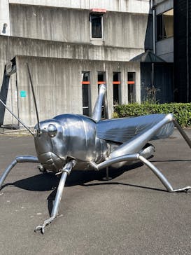 多摩動物公園に投稿された画像（2025/10/18）