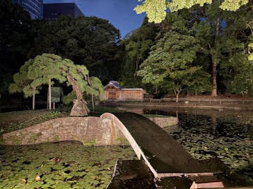 夜間特別開園 秋の夜長の小石川後楽園2025に投稿された画像（2025/10/18）