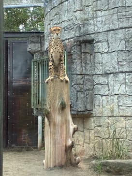 多摩動物公園に投稿された画像（2025/10/18）