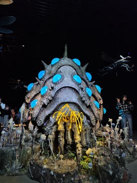 金曜ロードショーとジブリ展（静岡展）に投稿された画像（2025/10/18）