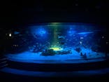 サンシャイン水族館に投稿された画像（2025/10/18）