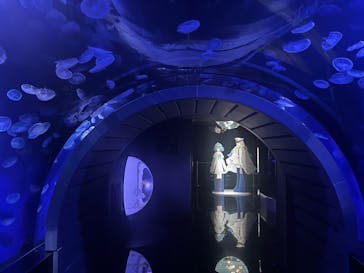 サンシャイン水族館に投稿された画像（2025/10/18）