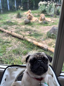 伊豆シャボテン動物公園に投稿された画像（2025/10/18）