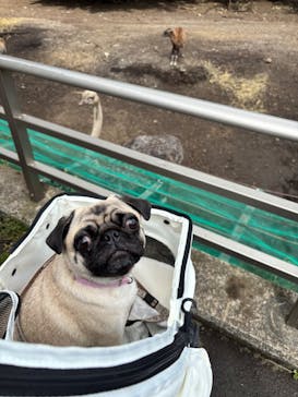 伊豆シャボテン動物公園に投稿された画像（2025/10/18）