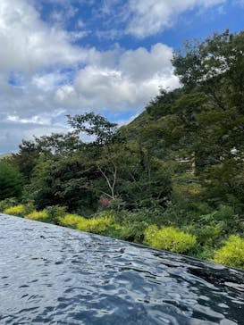 彫刻の森美術館に投稿された画像（2025/10/18）