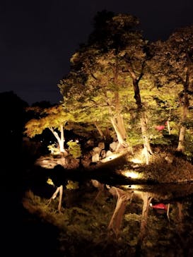 夜間特別開園 秋の夜長の小石川後楽園2025に投稿された画像（2025/10/18）