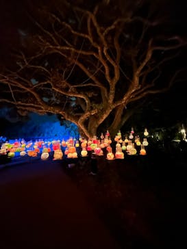 江の島シーキャンドルに投稿された画像（2025/10/18）