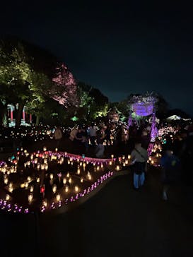 江の島シーキャンドルに投稿された画像（2025/10/18）