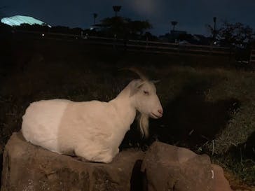 熊谷天然温泉　花湯スパリゾートに投稿された画像（2025/10/18）