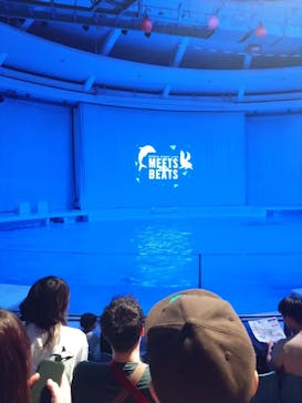 アクアワールド茨城県大洗水族館に投稿された画像（2025/10/18）