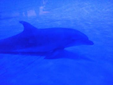 アクアワールド茨城県大洗水族館に投稿された画像（2025/10/18）