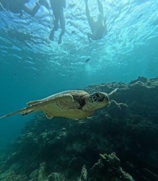  マリンショップHAPPYに投稿された画像（2025/10/18）