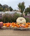 ひらかたパークに投稿された画像（2025/10/18）