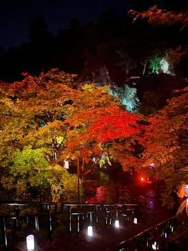 NAKED夜さんぽ™ 石川・那谷寺に投稿された画像（2025/10/18）