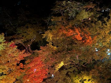 NAKED夜さんぽ™ 石川・那谷寺に投稿された画像（2025/10/18）