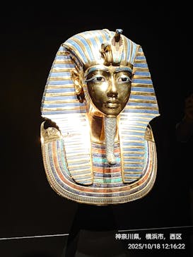MYSTERY OF TUTANKHAMEN 体感型古代エジプト展に投稿された画像（2025/10/18）
