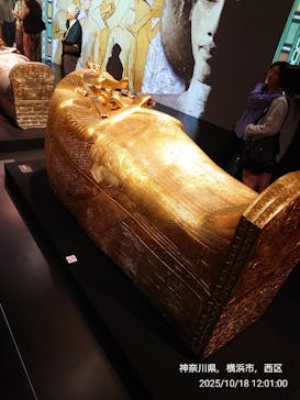 MYSTERY OF TUTANKHAMEN 体感型古代エジプト展に投稿された画像（2025/10/18）