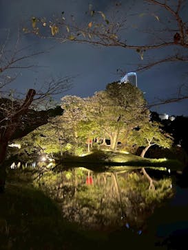 夜間特別開園 秋の夜長の小石川後楽園2025に投稿された画像（2025/10/18）