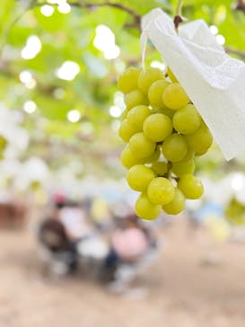 一古園に投稿された画像（2025/10/18）