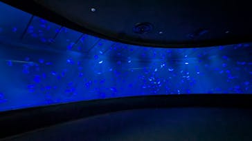 サンシャイン水族館に投稿された画像（2025/10/18）