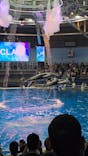 マクセル アクアパーク品川に投稿された画像（2025/10/19）