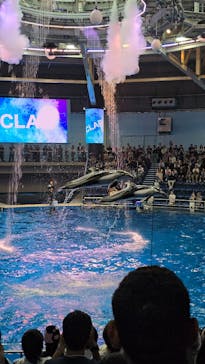 マクセル アクアパーク品川に投稿された画像（2025/10/18）