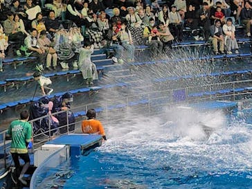 マクセル アクアパーク品川に投稿された画像（2025/10/18）