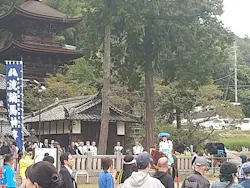 六條八幡宮に投稿された画像（2025/10/18）
