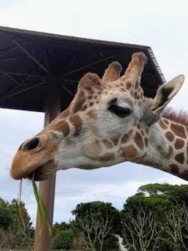 伊豆シャボテン動物公園に投稿された画像（2025/10/18）