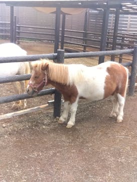 伊豆シャボテン動物公園に投稿された画像（2025/10/18）