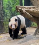 恩賜上野動物園に投稿された画像（2025/10/19）