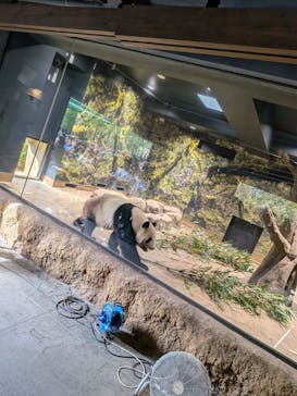 恩賜上野動物園に投稿された画像（2025/10/18）