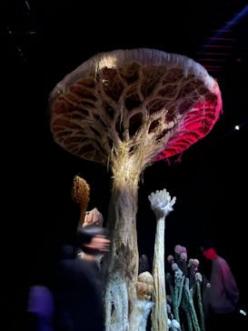 金曜ロードショーとジブリ展（静岡展）に投稿された画像（2025/10/18）