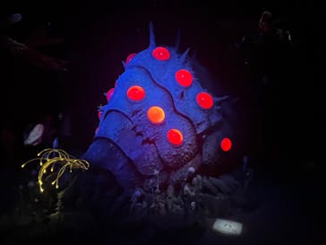 金曜ロードショーとジブリ展（静岡展）に投稿された画像（2025/10/18）