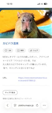 レオマリゾートに投稿された画像（2025/10/18）