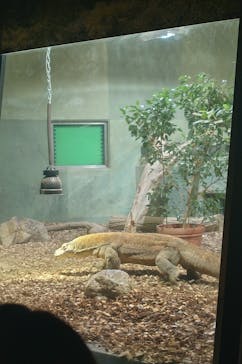 名古屋市東山動植物園に投稿された画像（2025/10/18）