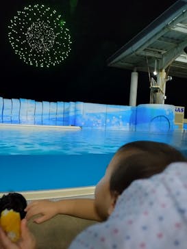 新江ノ島水族館に投稿された画像（2025/10/19）