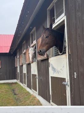 ノーザンホースパークに投稿された画像（2025/10/19）