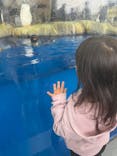 仙台うみの杜水族館に投稿された画像（2025/10/19）