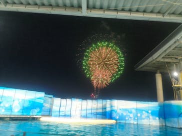 新江ノ島水族館に投稿された画像（2025/10/19）