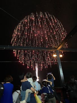 新江ノ島水族館に投稿された画像（2025/10/19）