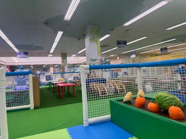 キッズランドUS 愛媛東温店に投稿された画像（2025/10/19）